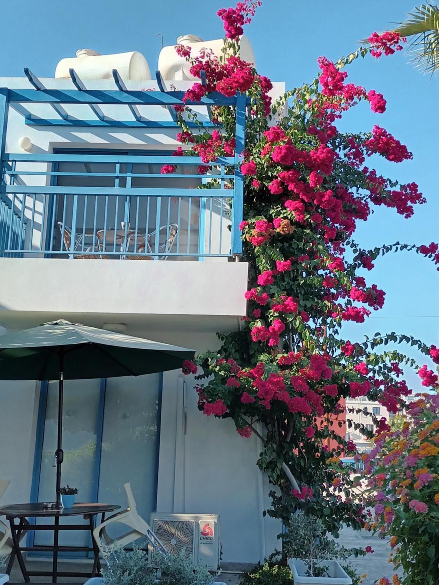 Ocean Blue Apartments Paphos Exterior photo